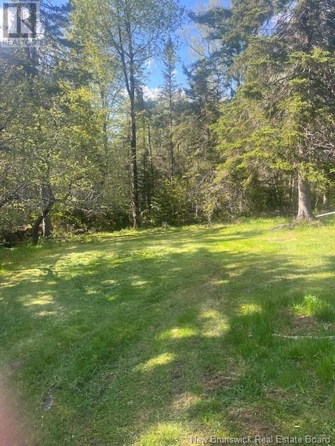 711 Bloomfield Ridge Road, Bloomfield Ridge, New Brunswick  E5N 4Y5 - Photo 3 - NB122404