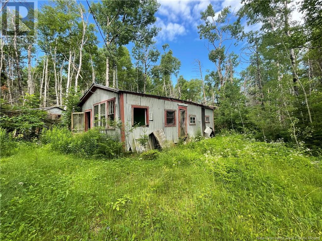 755 Cape Road, Newburg, New Brunswick  E7N 1W5 - Photo 11 - NB122349