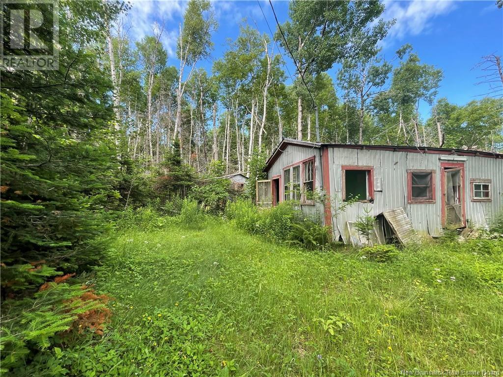 755 Cape Road, Newburg, New Brunswick  E7N 1W5 - Photo 13 - NB122349