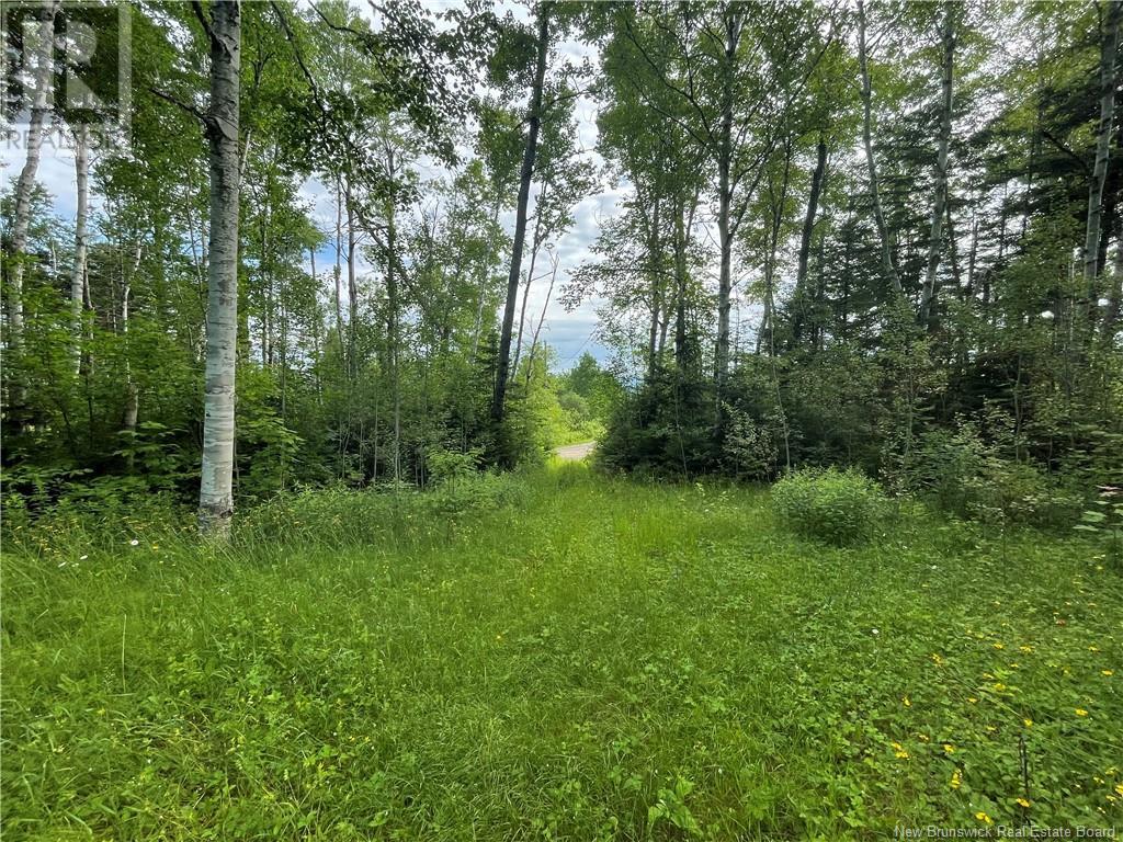 755 Cape Road, Newburg, New Brunswick  E7N 1W5 - Photo 6 - NB122349
