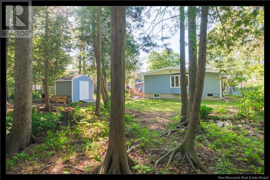 306 Willingdon Street, Fredericton, New Brunswick  E3B 3A5 - Photo 48 - NB122072