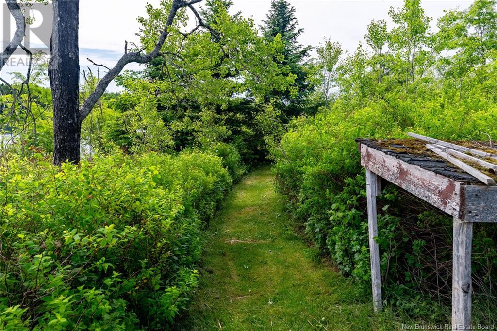 23 Leavitt Head Cemetery Road, Back Bay, New Brunswick  E5C 1Z5 - Photo 13 - NB121895