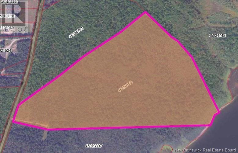 Lot Chapman Road, Newcastle Centre, New Brunswick  E4B 2M1 - Photo 8 - NB122468