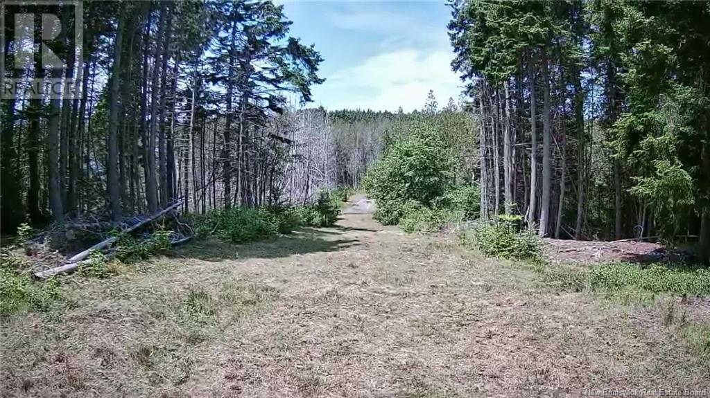 29 Crow Island Road, Back Bay, New Brunswick  E5C 2X6 - Photo 3 - NB122413