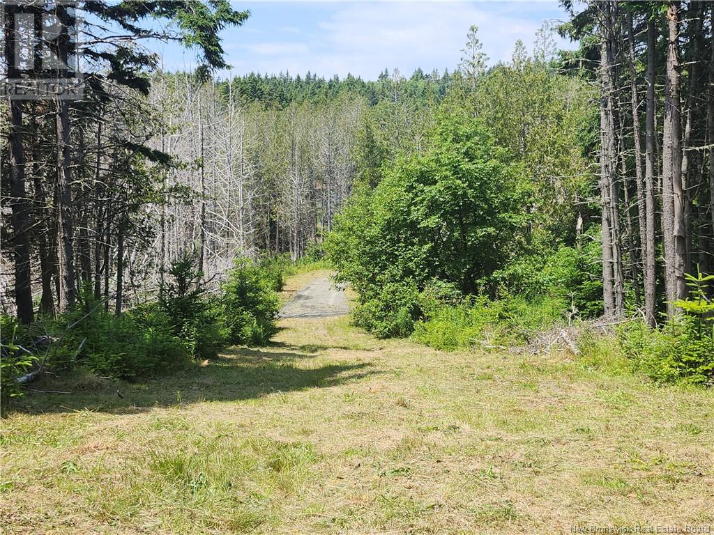 29 Crow Island Road, Back Bay, New Brunswick  E5C 2X6 - Photo 4 - NB122413
