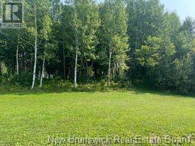 1880-1890 Gowan Brae Drive, Bathurst, New Brunswick  E2A 4X5 - Photo 5 - NB120281