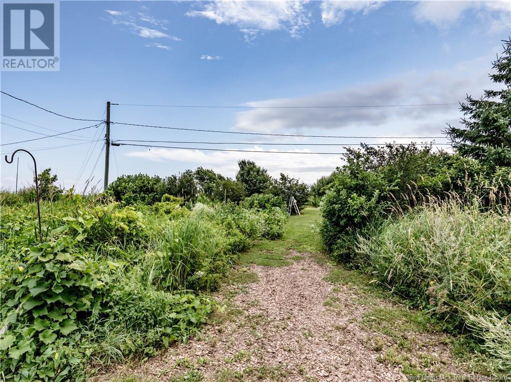79 Donat Road, Grande-Digue, New Brunswick  E4R 4G6 - Photo 28 - NB122090
