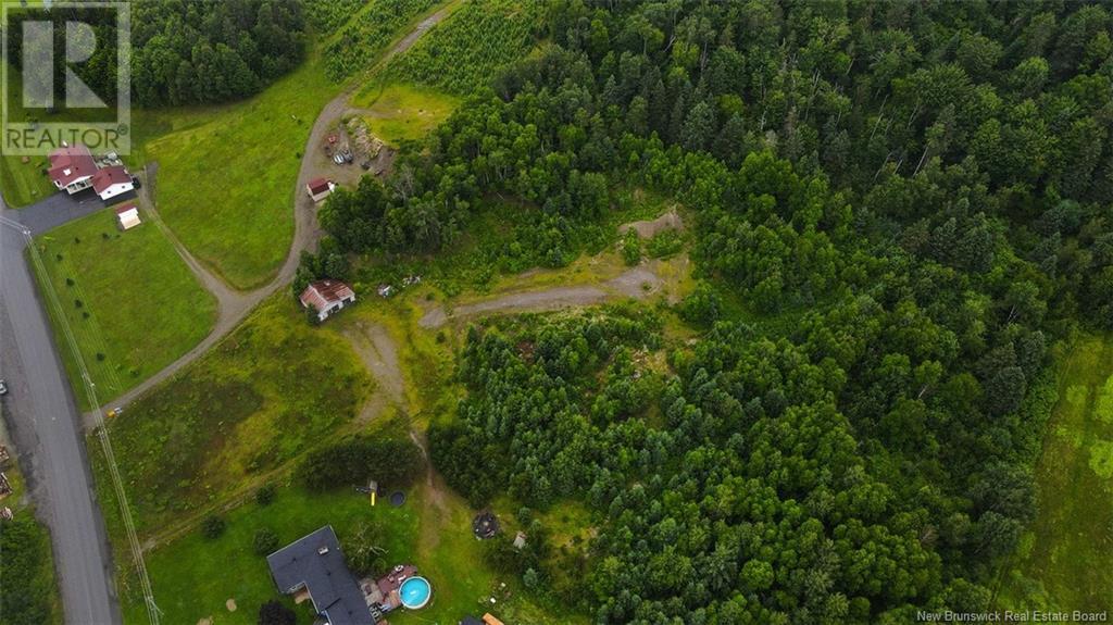 Lot Route 205 Road, Saint-François-De-Madawaska, New Brunswick  E7A 1Y2 - Photo 8 - NB122473