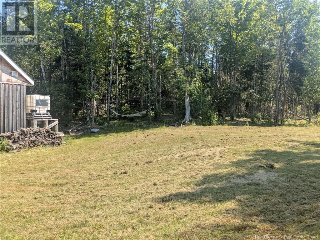 Lot Route 127, Waweig, New Brunswick  E3L 4M3 - Photo 3 - NB122451