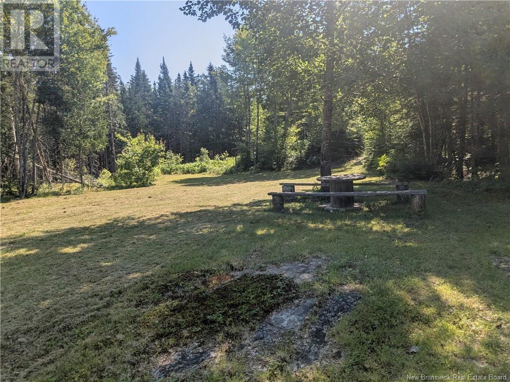 Lot Route 127, Waweig, New Brunswick  E3L 4M3 - Photo 4 - NB122451