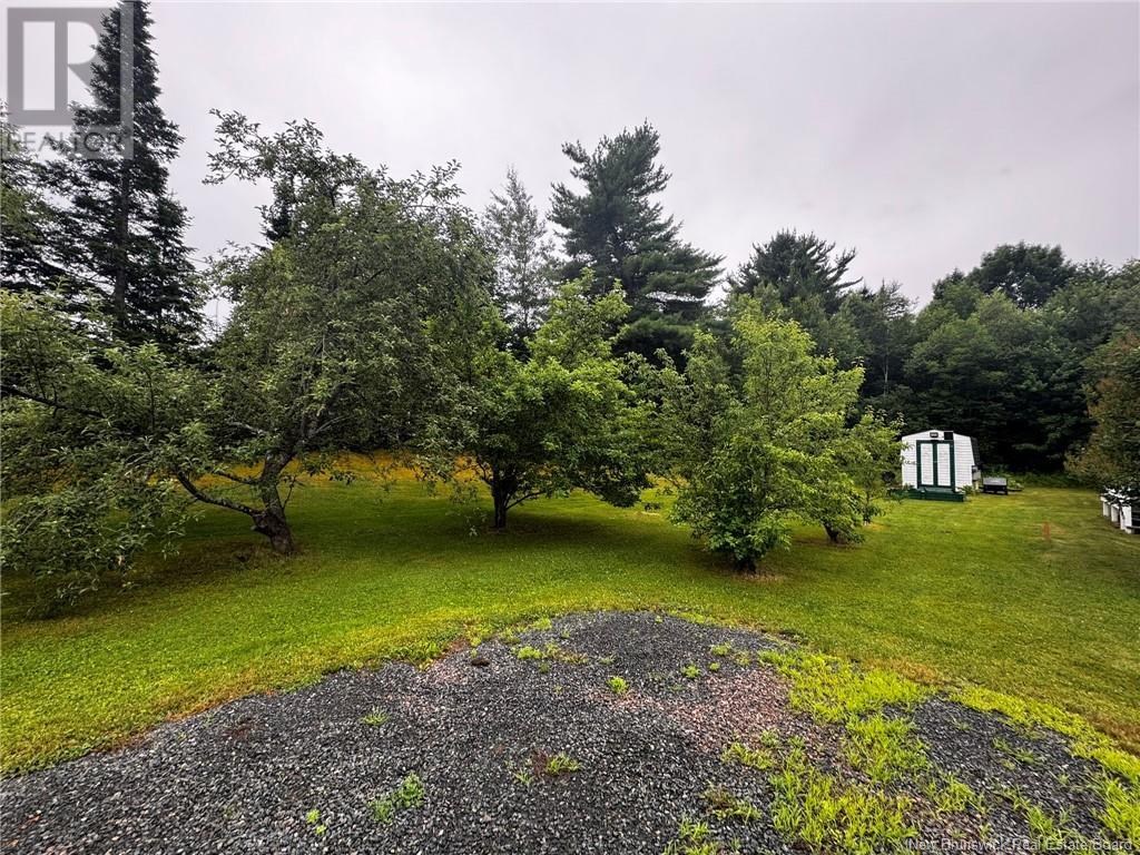 91 Hwy 420, South Esk, New Brunswick  E1V 4P2 - Photo 5 - NB122483