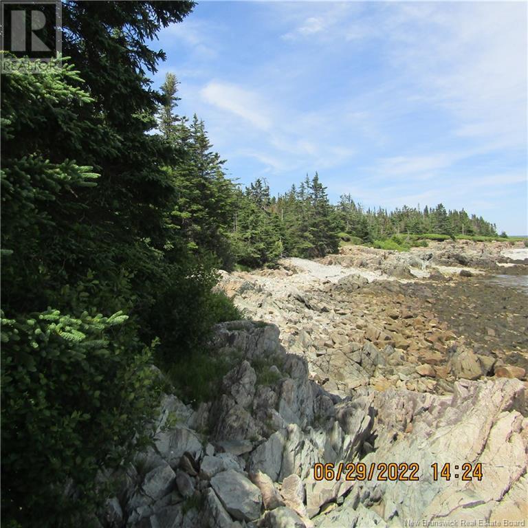 00/254 Mccarthy's Point Road, Pocologan, New Brunswick  E5H 0B4 - Photo 7 - NB122445
