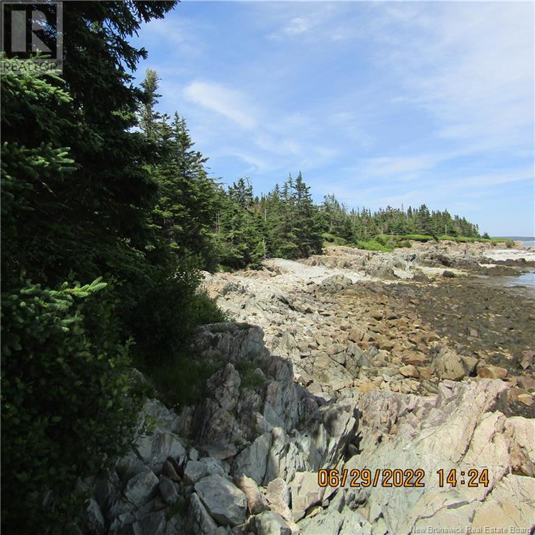 00/254 Mccarthy's Point Road, Pocologan, New Brunswick  E5H 0B4 - Photo 8 - NB122445