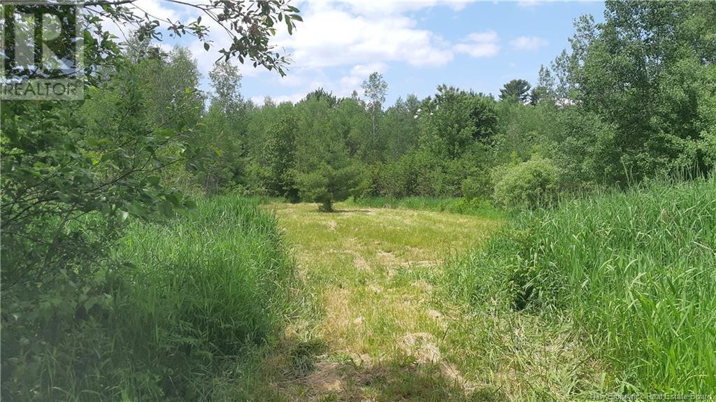 2009-2 Tilley Road, Gagetown, New Brunswick  E5M 0O0 - Photo 13 - NB122488