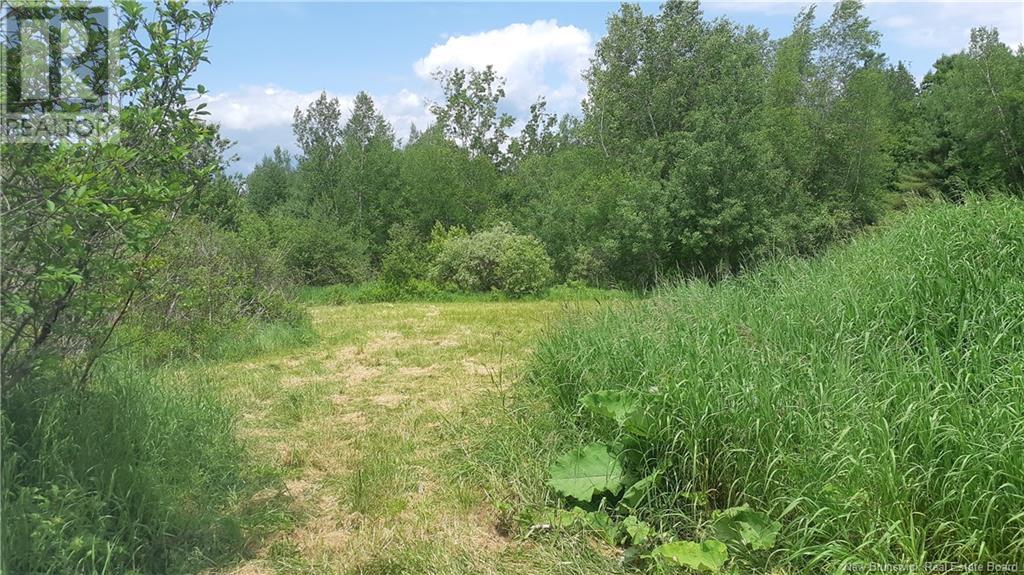 2009-2 Tilley Road, Gagetown, New Brunswick  E5M 0O0 - Photo 15 - NB122488