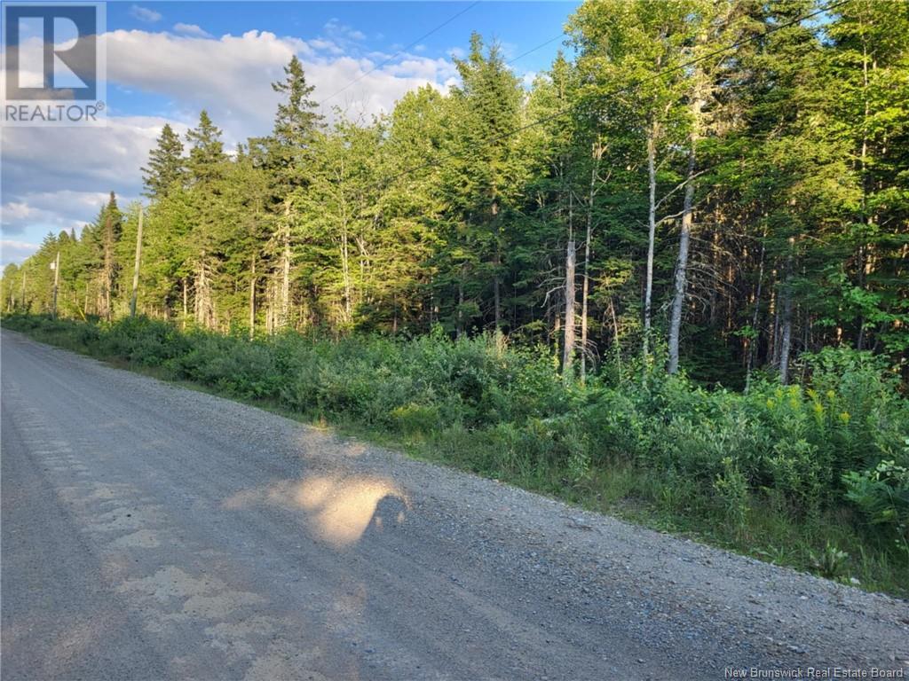 Lot C Zionville Road, Taymouth, New Brunswick  E6C 1Y5 - Photo 3 - NB122462