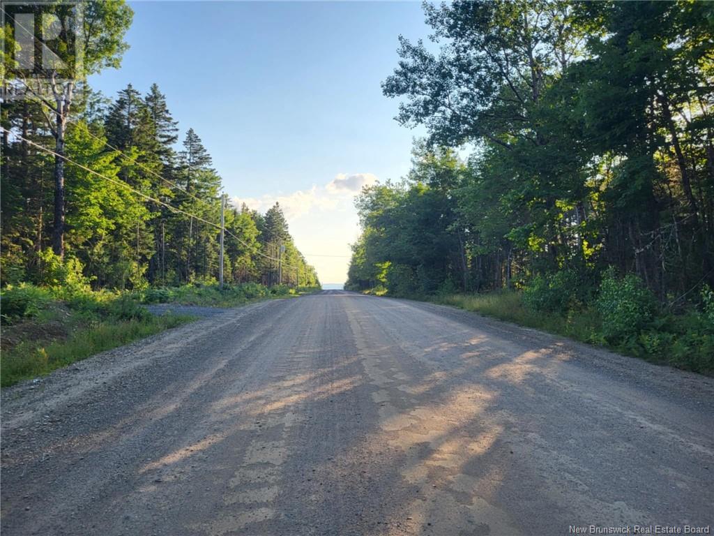 Lot C Zionville Road, Taymouth, New Brunswick  E6C 1Y5 - Photo 5 - NB122462