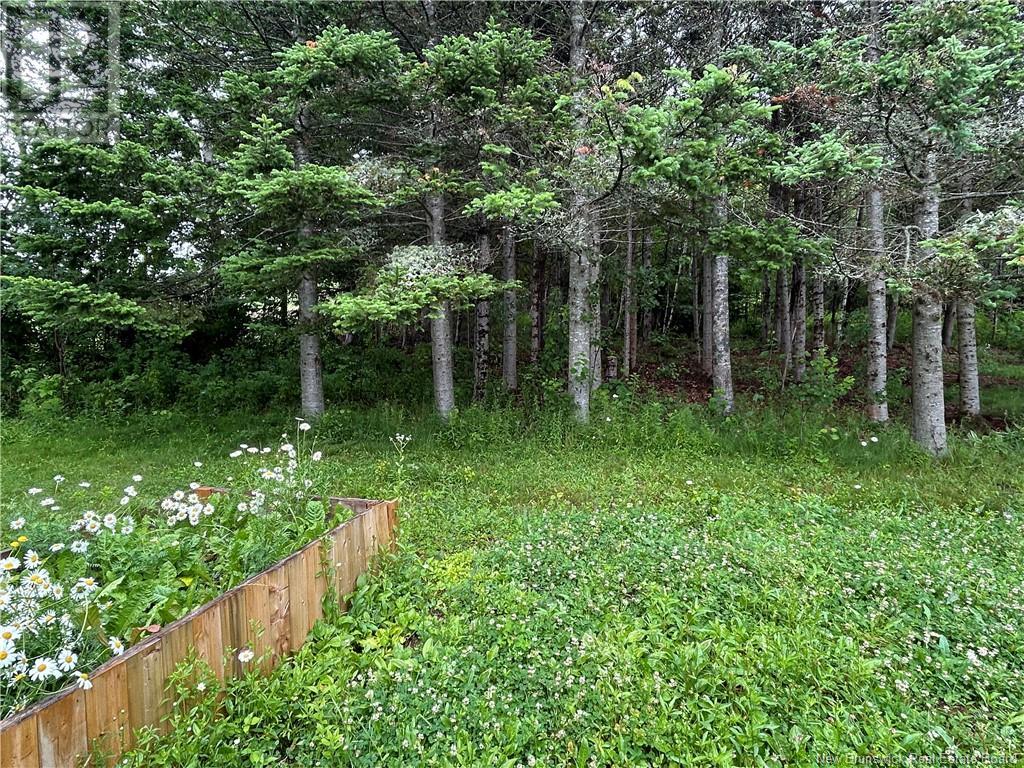 7164 Route 102 Route, Central Greenwich, New Brunswick  E5M 2L8 - Photo 37 - NB122526