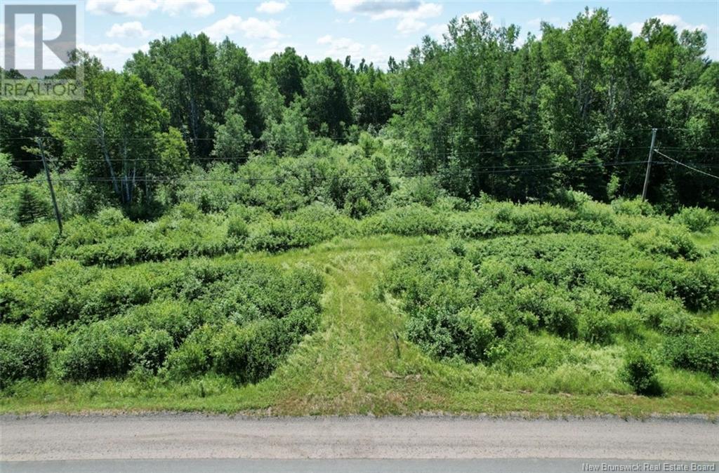 Route 180, South Tetagouche, New Brunswick  E2A 7E9 - Photo 10 - NB122577