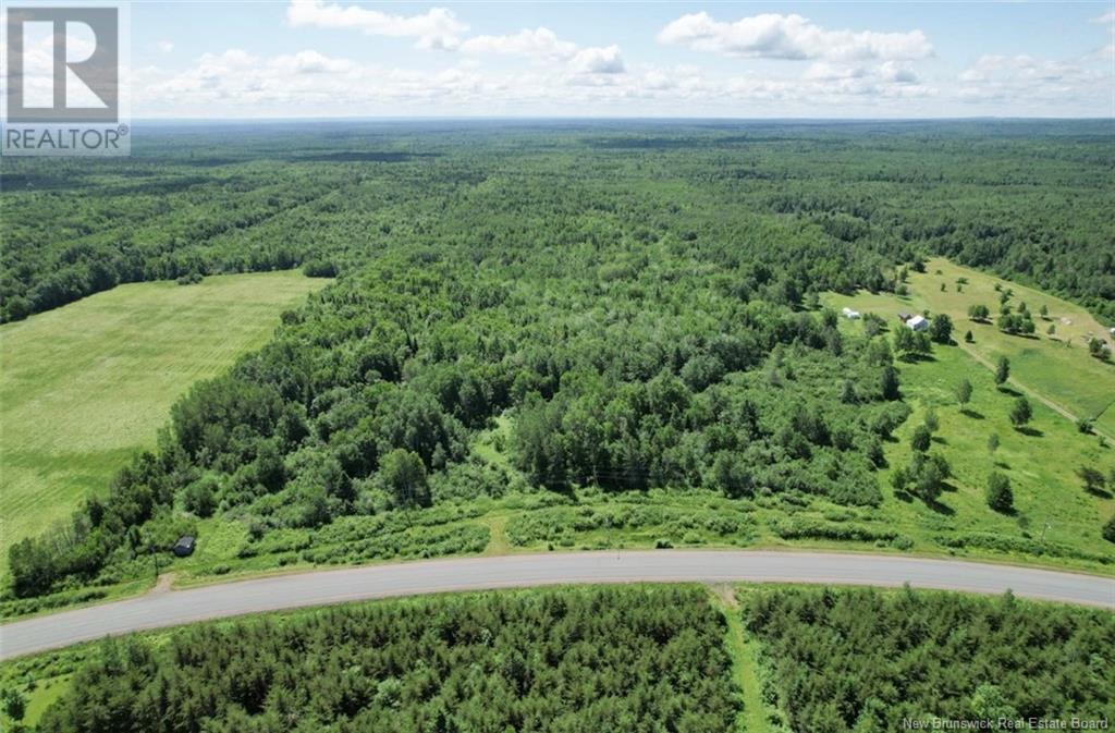 Route 180, South Tetagouche, New Brunswick  E2A 7E9 - Photo 6 - NB122577