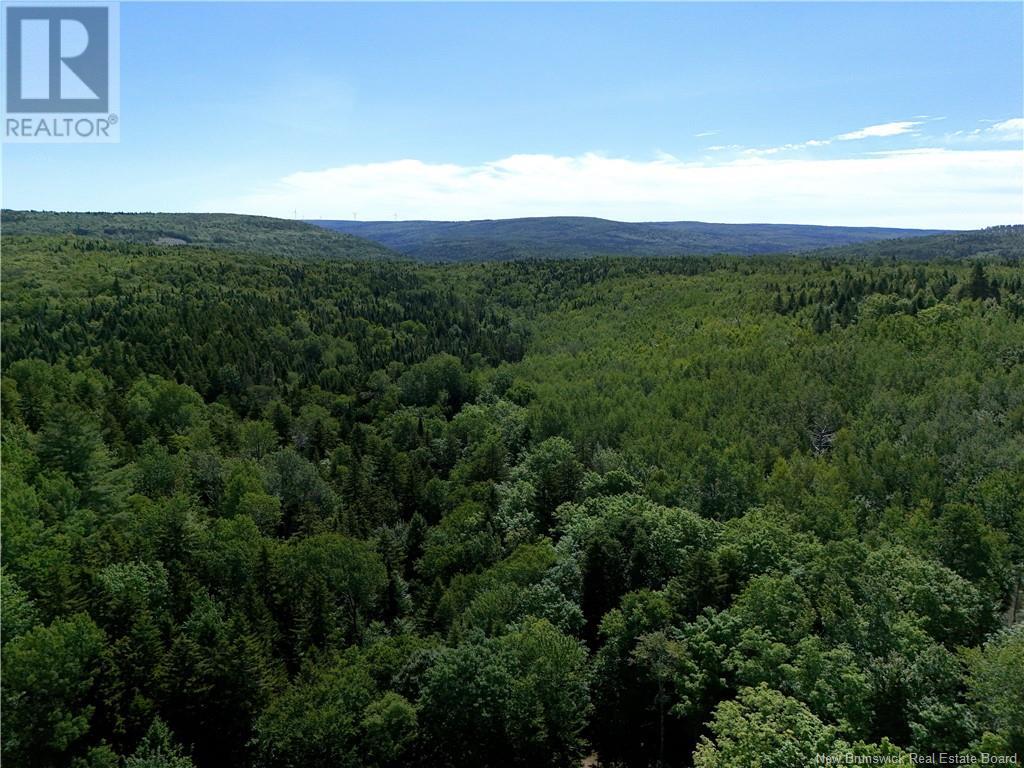 Camp Boyd Mountain Road, Elgin, New Brunswick  E4Z 1P3 - Photo 14 - NB122486