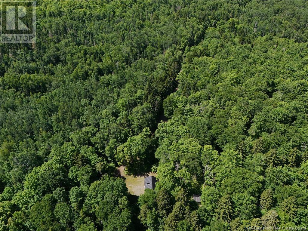 Camp Boyd Mountain Road, Elgin, New Brunswick  E4Z 1P3 - Photo 15 - NB122486