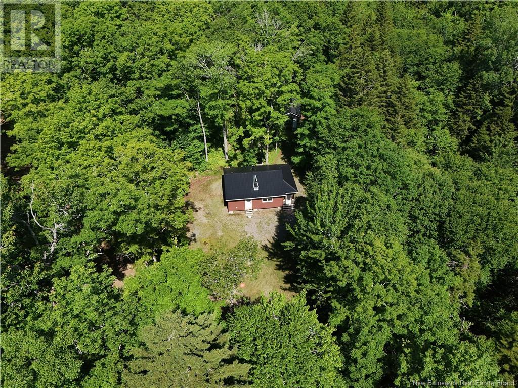 Camp Boyd Mountain Road, Elgin, New Brunswick  E4Z 1P3 - Photo 2 - NB122486