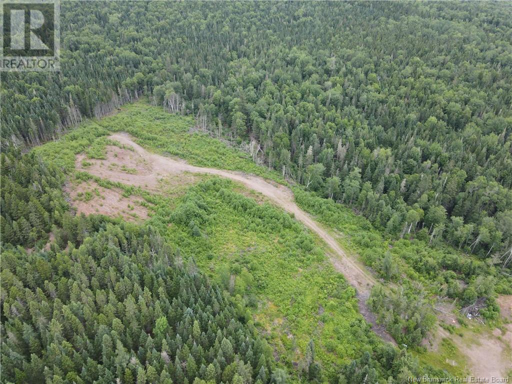 395 Irish Settlement Road, Springfield, New Brunswick  E5P 1P4 - Photo 4 - NB122382