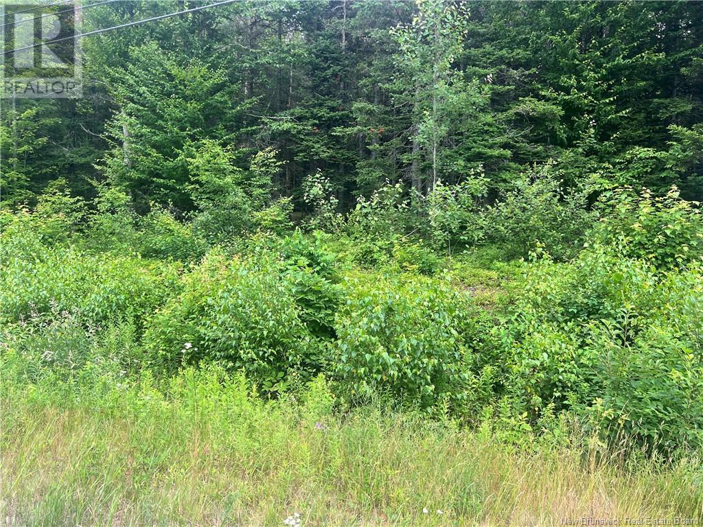 0 Route 127, Bayside, New Brunswick  E5B 2S4 - Photo 1 - NB122612