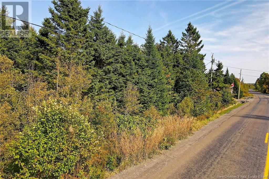 Lot 8 Kingsley Road, Birdton, New Brunswick  O0O 0O0 - Photo 3 - NB122619