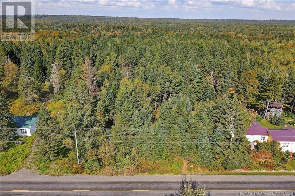 Lot 8 Kingsley Road, Birdton, New Brunswick  O0O 0O0 - Photo 5 - NB122619