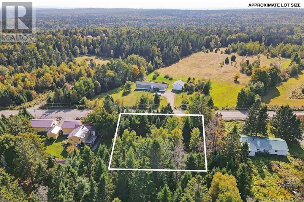 Lot 8 Kingsley Road, Birdton, New Brunswick  O0O 0O0 - Photo 6 - NB122619