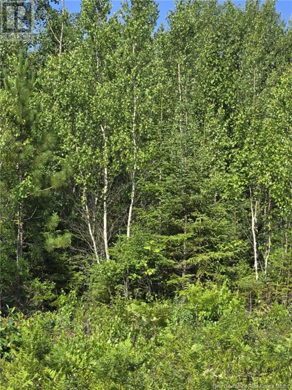 Lot 7 Route 10, Cumberland Bay, New Brunswick  E4A 3A3 - Photo 6 - NB122668