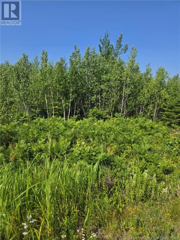 Lot 5 Route 10, Cumberland Bay, New Brunswick  E4A 3A3 - Photo 6 - NB122666