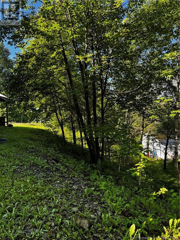 86 Des Ormes Avenue, Edmundston, New Brunswick  E3V 4J9 - Photo 39 - NB122660