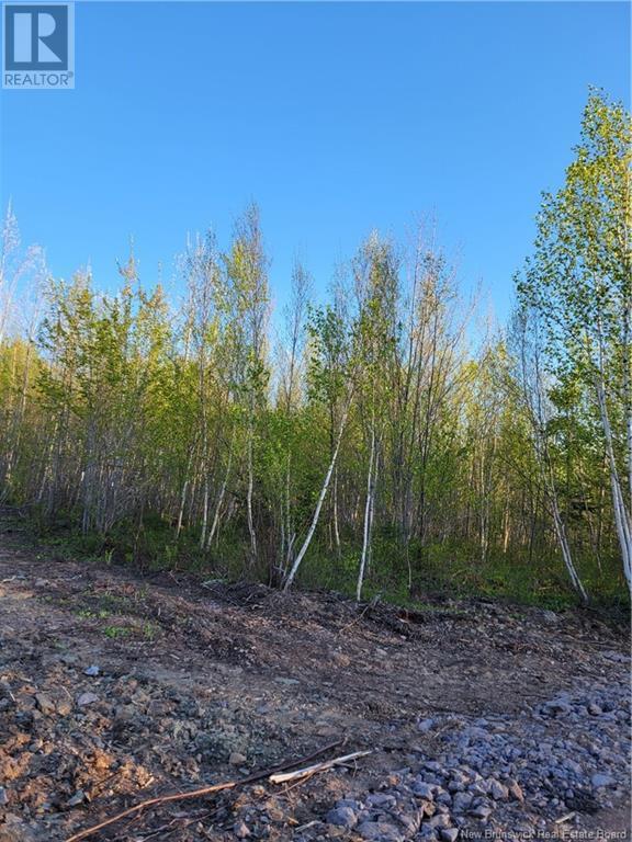 Lot 6 Route 10, Cumberland Bay, New Brunswick  E4A 3A3 - Photo 5 - NB122670