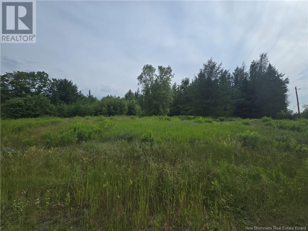Acreage Rte 118 Hwy, Mckinleyville, New Brunswick  E9E 2H5 - Photo 18 - NB122705