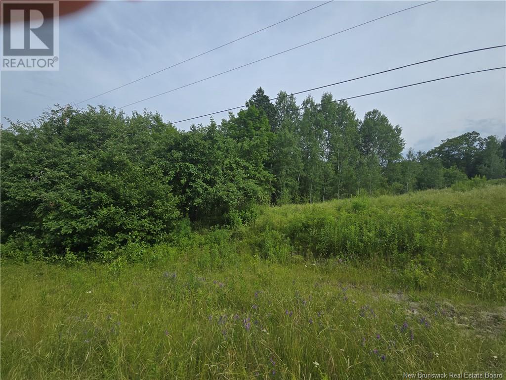 Acreage Rte 118 Hwy, Mckinleyville, New Brunswick  E9E 2H5 - Photo 4 - NB122705
