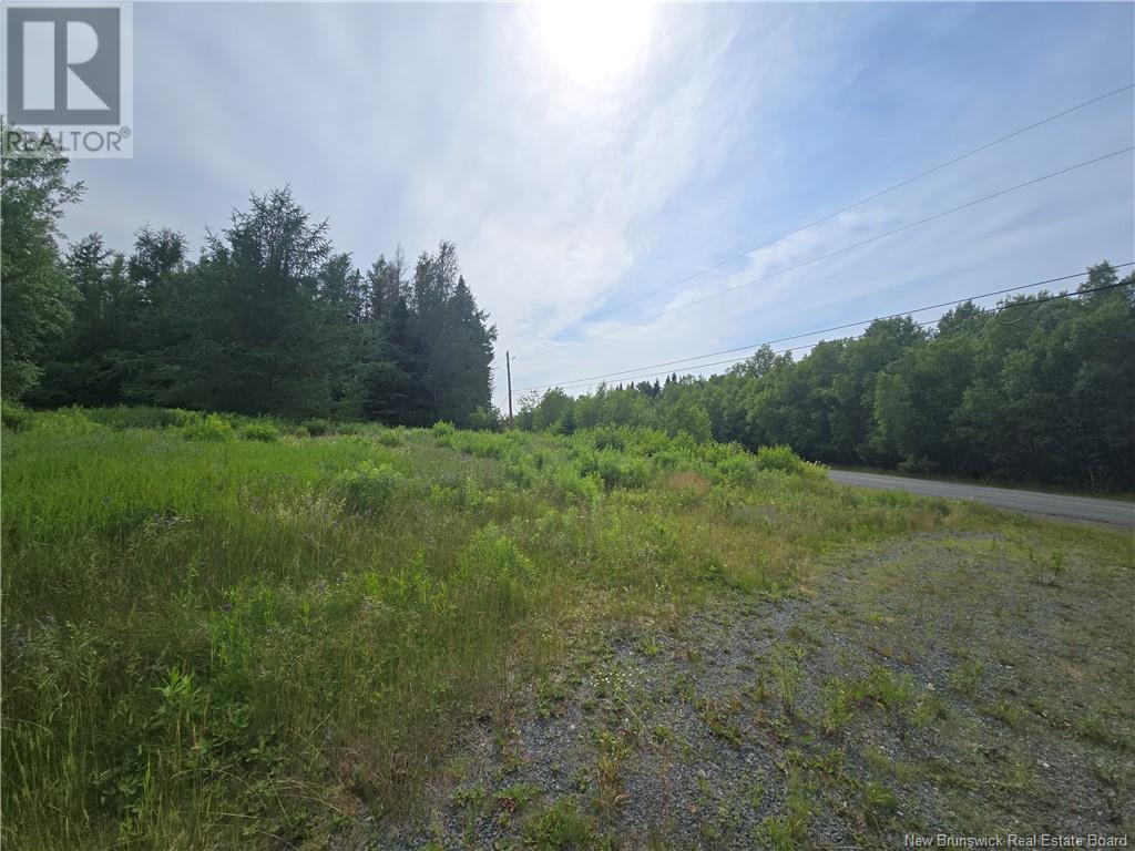 Acreage Rte 118 Hwy, Mckinleyville, New Brunswick  E9E 2H5 - Photo 7 - NB122705