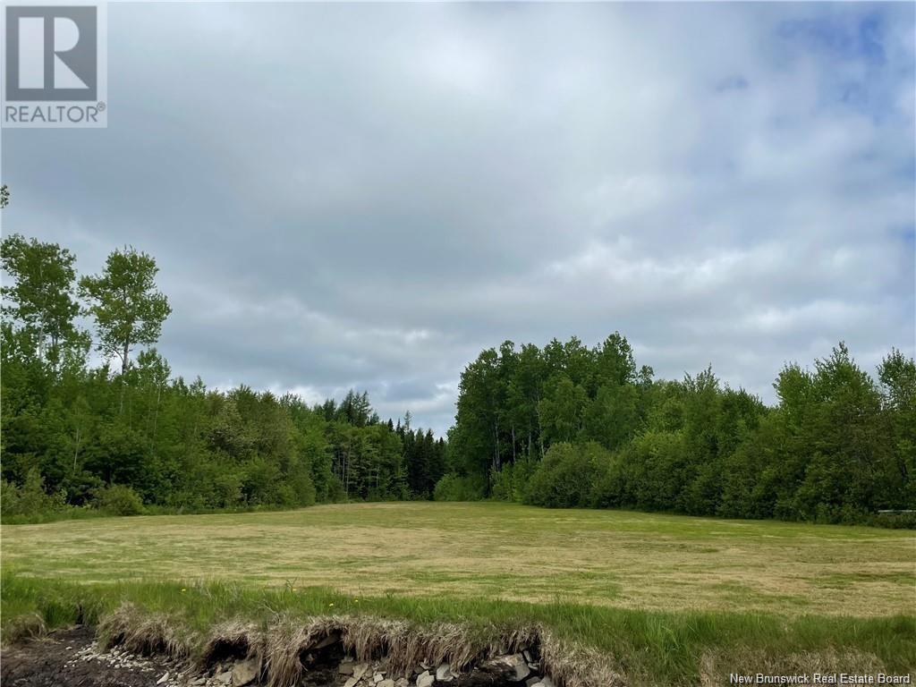 Nb Route 11, Bartibog, New Brunswick  E1V 7H9 - Photo 5 - NB122720