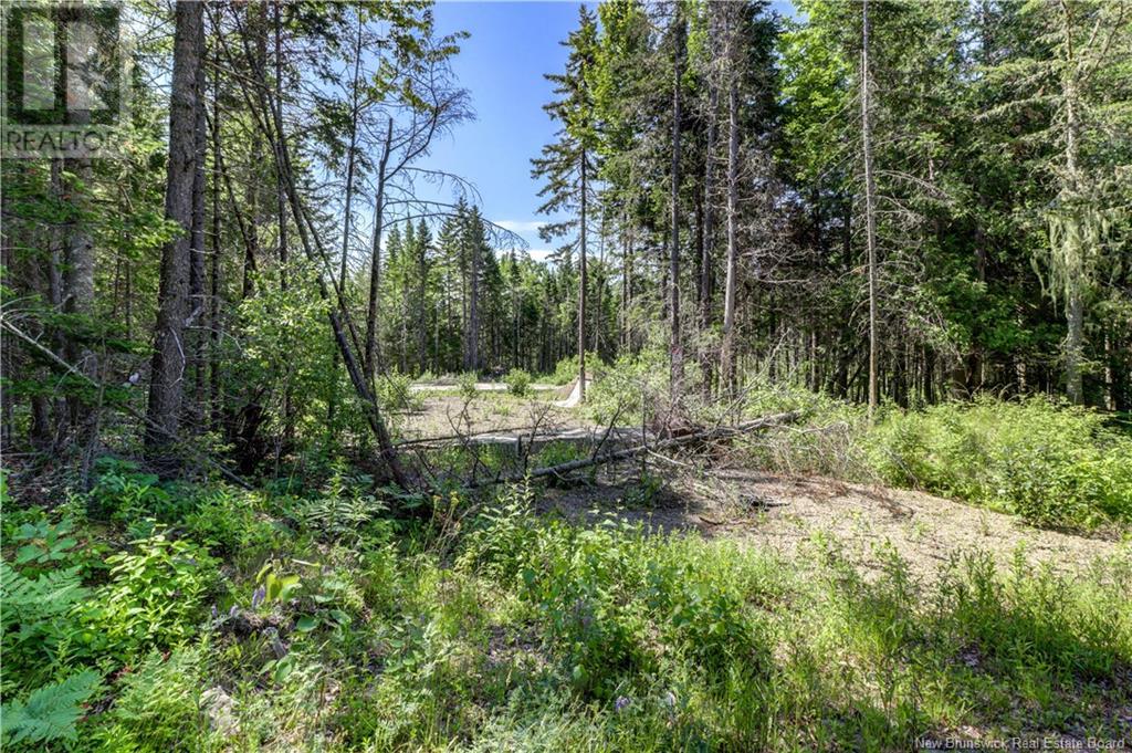 29 Gwens Lane, Mill Cove, New Brunswick  E4K 3N2 - Photo 19 - NB121364