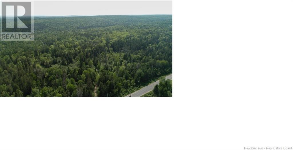 327 Maple Grove Road, Maple Grove, New Brunswick  E6B 2B5 - Photo 10 - NB122788