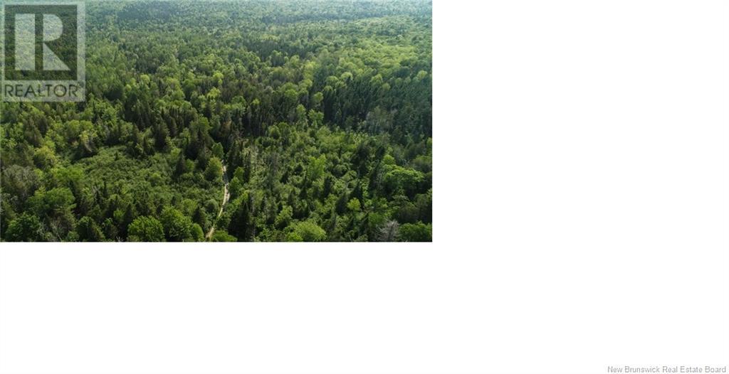 327 Maple Grove Road, Maple Grove, New Brunswick  E6B 2B5 - Photo 11 - NB122788
