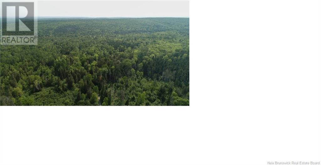 327 Maple Grove Road, Maple Grove, New Brunswick  E6B 2B5 - Photo 12 - NB122788