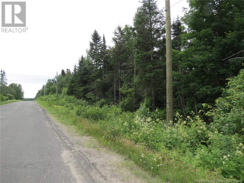 327 Maple Grove Road, Maple Grove, New Brunswick  E6B 2B5 - Photo 7 - NB122788