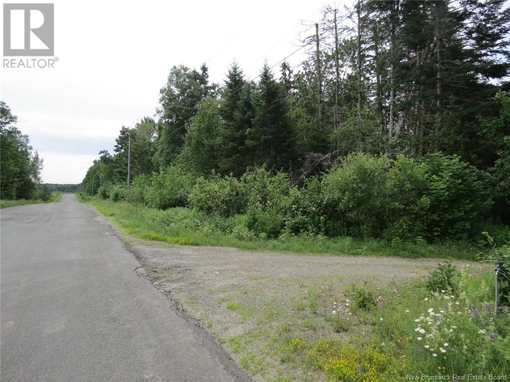 327 Maple Grove Road, Maple Grove, New Brunswick  E6B 2B5 - Photo 8 - NB122788