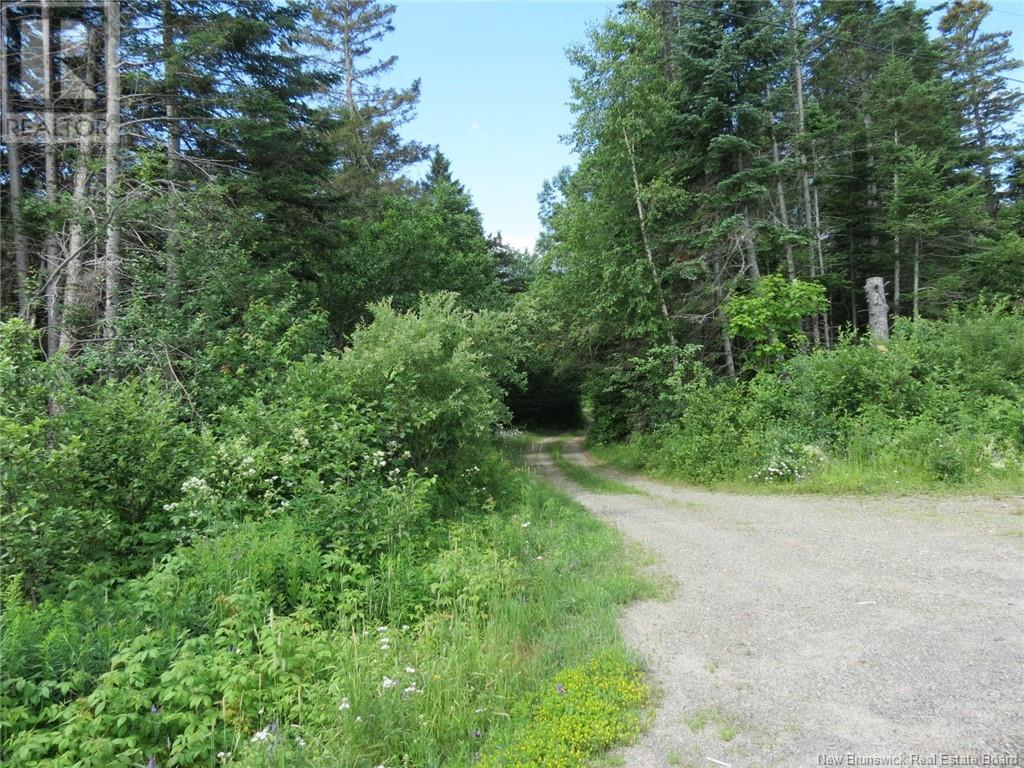 327 Maple Grove Road, Maple Grove, New Brunswick  E6B 2B5 - Photo 9 - NB122788