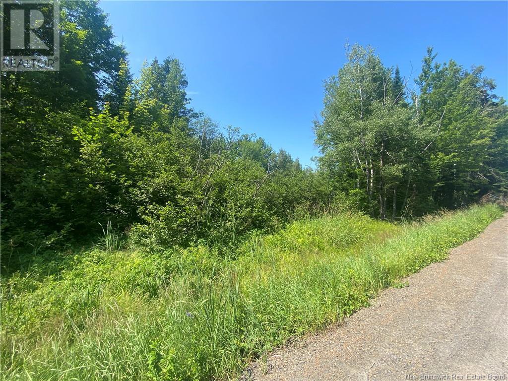 Lot 1-2025 Scotch Lake Road, Scotch Lake, New Brunswick  E6L 1K6 - Photo 5 - NB122753