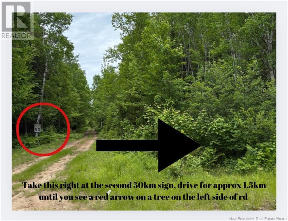 2.5 Hec Renous River, Dungarvon, New Brunswick  E4T 2T6 - Photo 20 - NB122835