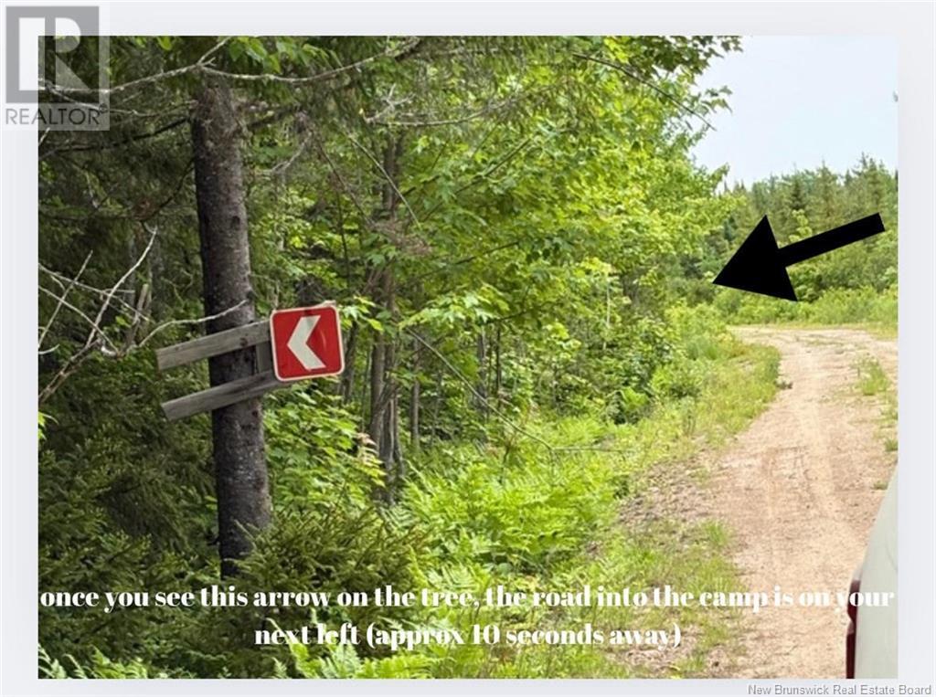 2.5 Hec Renous River, Dungarvon, New Brunswick  E4T 2T6 - Photo 21 - NB122835